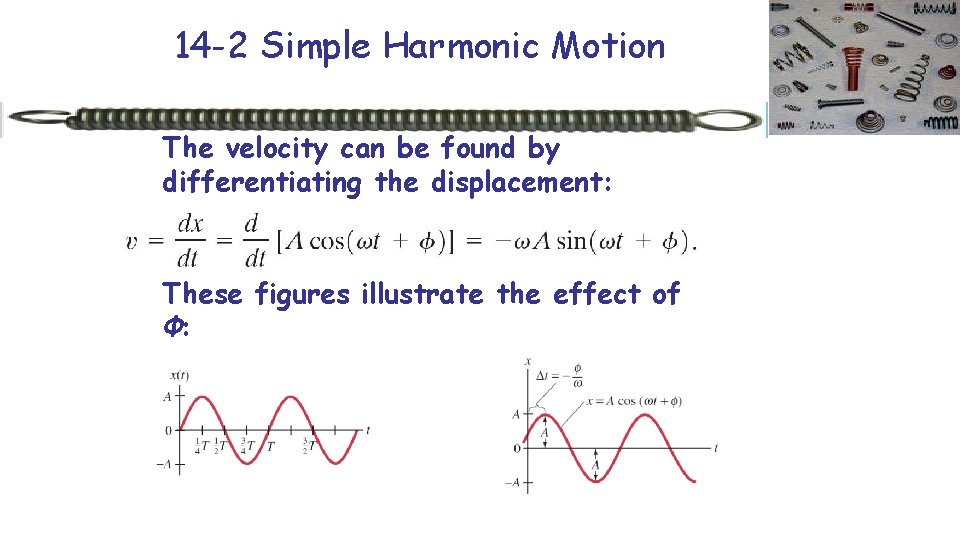 14 -2 Simple Harmonic Motion The velocity can be found by differentiating the displacement: