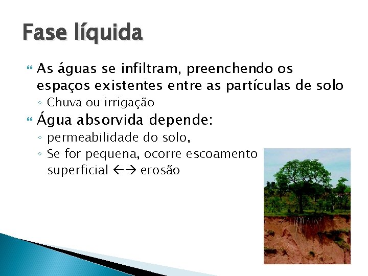 Fase líquida As águas se infiltram, preenchendo os espaços existentes entre as partículas de