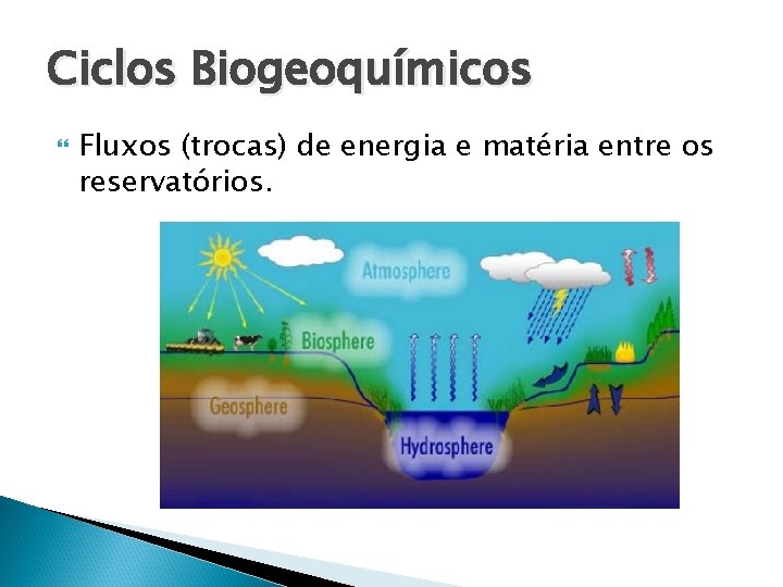 Ciclos Biogeoquímicos Fluxos (trocas) de energia e matéria entre os reservatórios. 