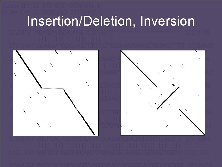 Insertion/Deletion, Inversion 