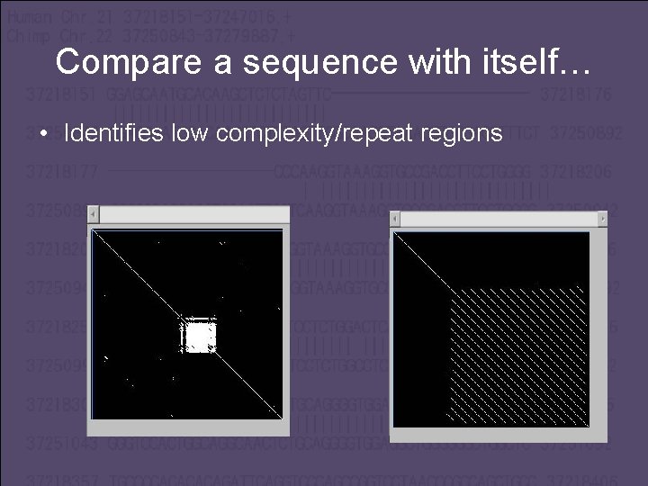 Compare a sequence with itself… • Identifies low complexity/repeat regions 