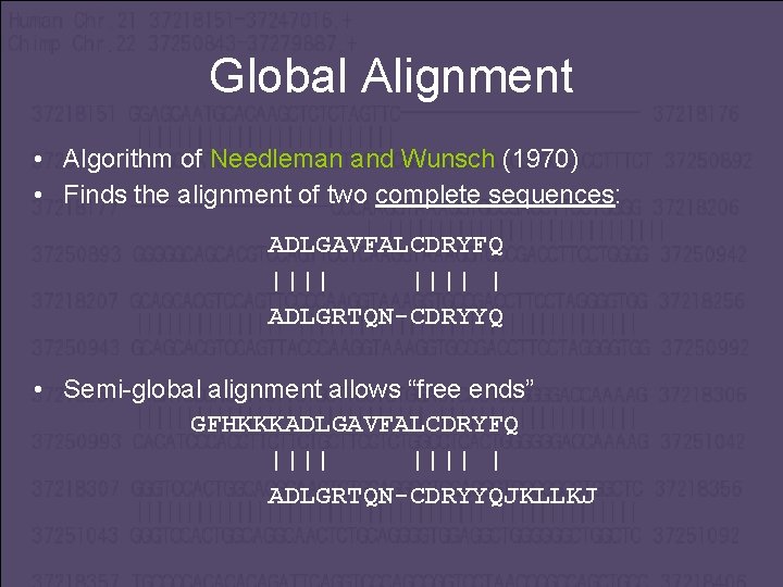 Global Alignment • Algorithm of Needleman and Wunsch (1970) • Finds the alignment of
