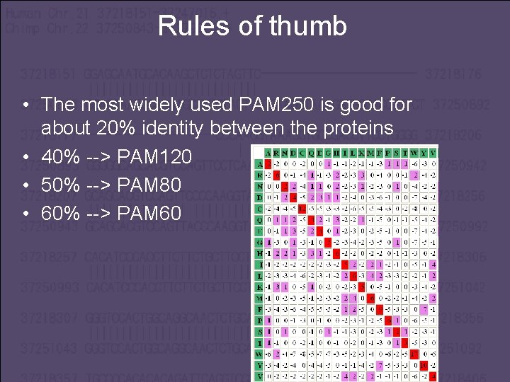 Rules of thumb • The most widely used PAM 250 is good for about
