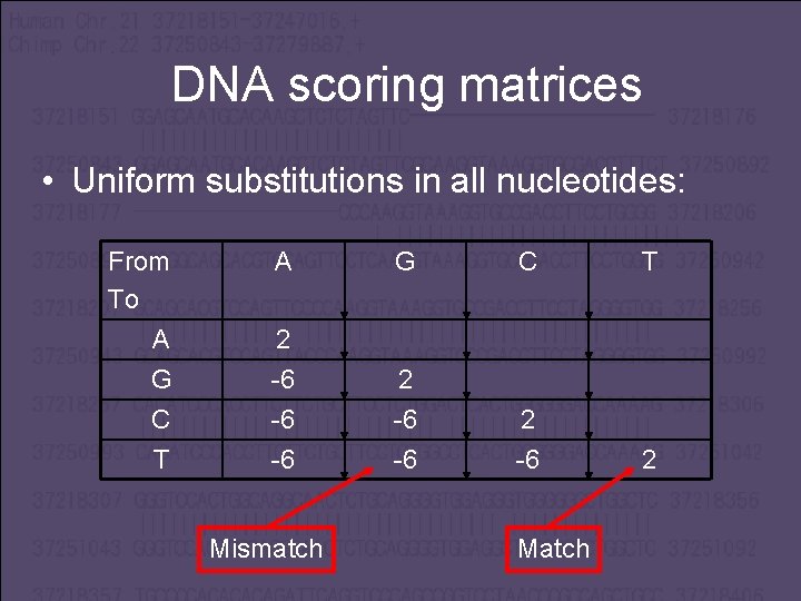 DNA scoring matrices • Uniform substitutions in all nucleotides: From To A G 2