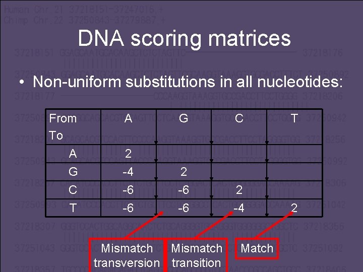 DNA scoring matrices • Non-uniform substitutions in all nucleotides: From To A G 2