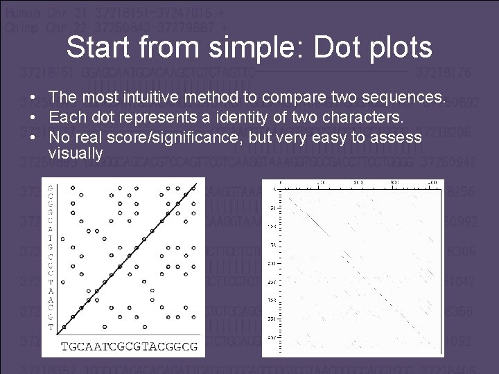 Start from simple: Dot plots • The most intuitive method to compare two sequences.