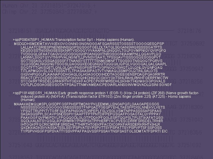 >sp|P 08047|SP 1_HUMAN Transcription factor Sp 1 - Homo sapiens (Human). MSDQDHSMDEMTAVVKIEKGVGGNNGGNGNGGGAFSQARSSSTGSSSSTGGGGQESQPSP LALLAATCSRIESPNENSNNSQGPSQSGGTGELDLTATQLSQGANGWQIISSSSGATPTS KEQSGSSTNGSNGSESSKNRTVSGGQYVVAAAPNLQNQQVLTGLPGVMPNIQYQVIPQFQ
