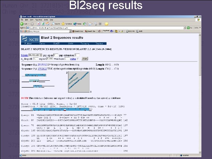 Bl 2 seq results 