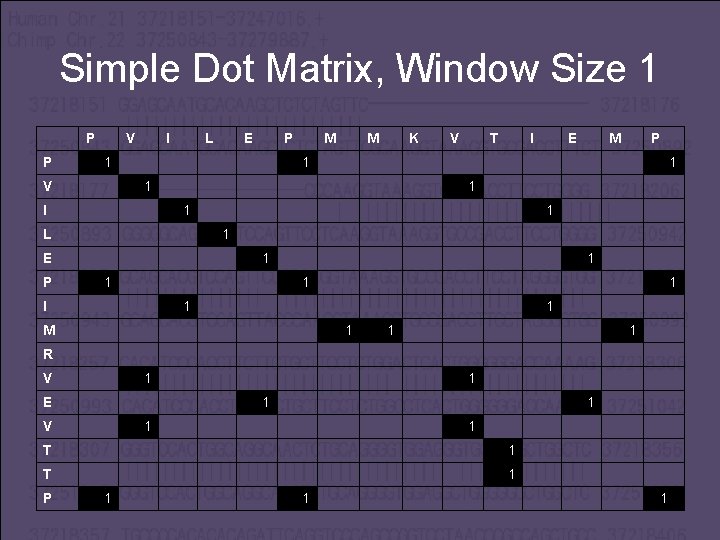 Simple Dot Matrix, Window Size 1 P V I L E P M M