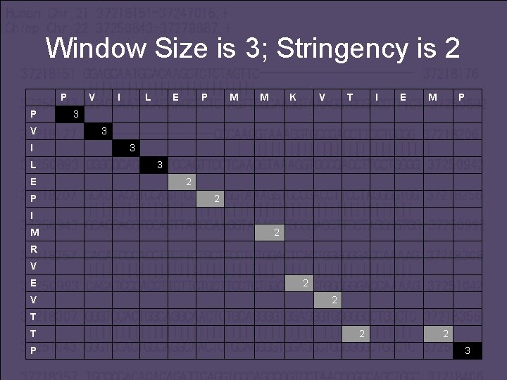 Window Size is 3; Stringency is 2 P V I L E P M