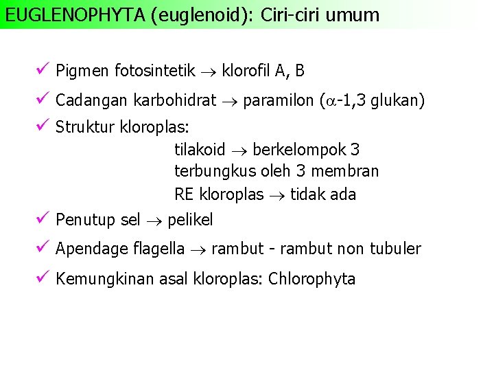 EUGLENOPHYTA (euglenoid): Ciri-ciri umum ü Pigmen fotosintetik klorofil A, B ü Cadangan karbohidrat paramilon