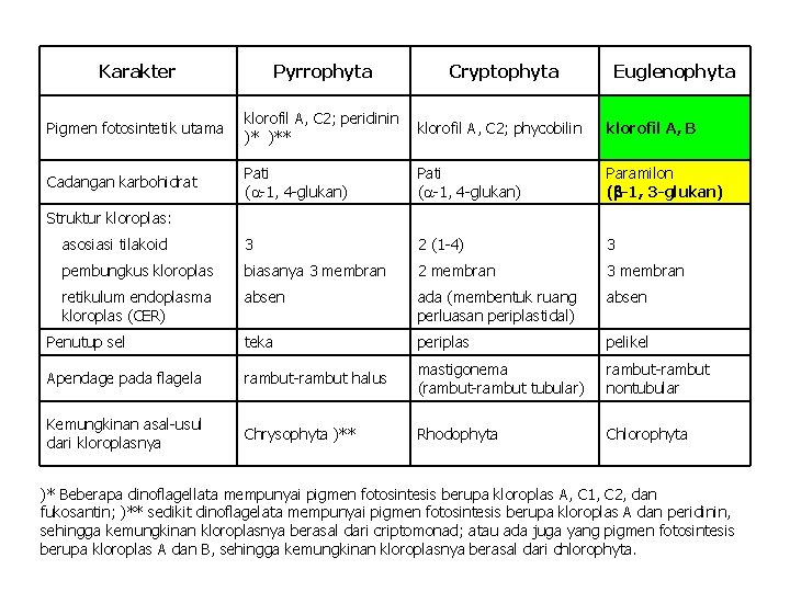 Karakter Pyrrophyta Cryptophyta Euglenophyta Pigmen fotosintetik utama klorofil A, C 2; peridinin klorofil A,