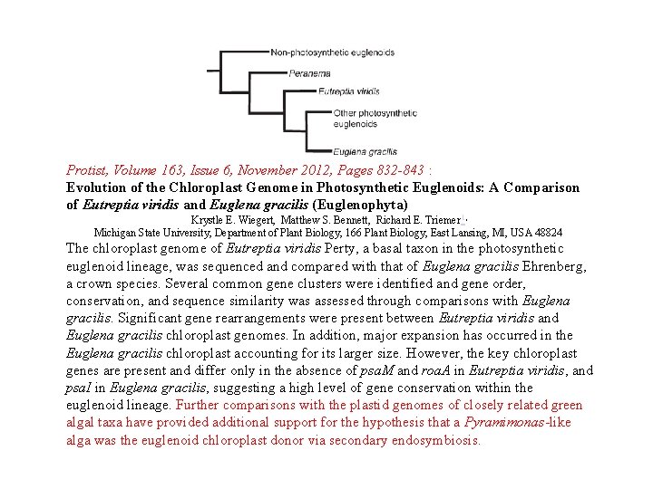 Protist, Volume 163, Issue 6, November 2012, Pages 832 -843 : Evolution of the