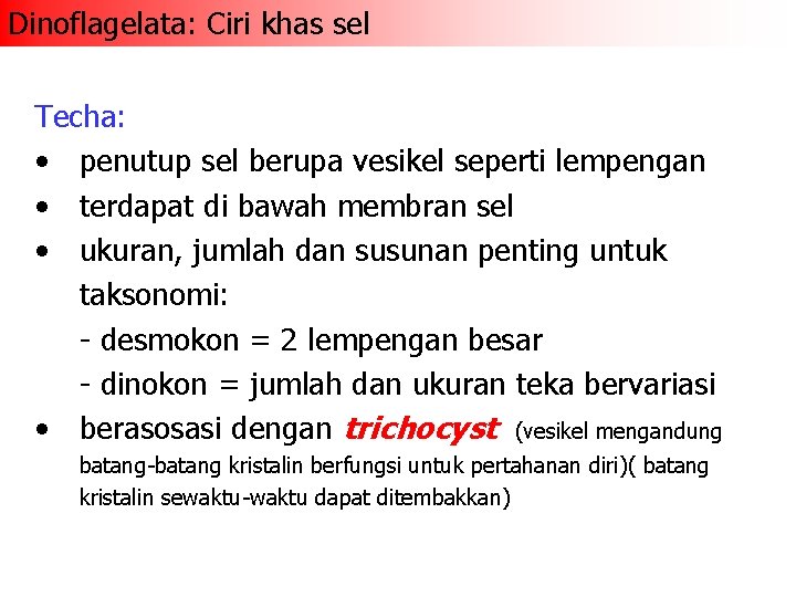 Dinoflagelata: Ciri khas sel Techa: • penutup sel berupa vesikel seperti lempengan • terdapat