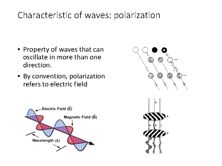 Characteristic of waves: polarization • Property of waves that can oscillate in more than