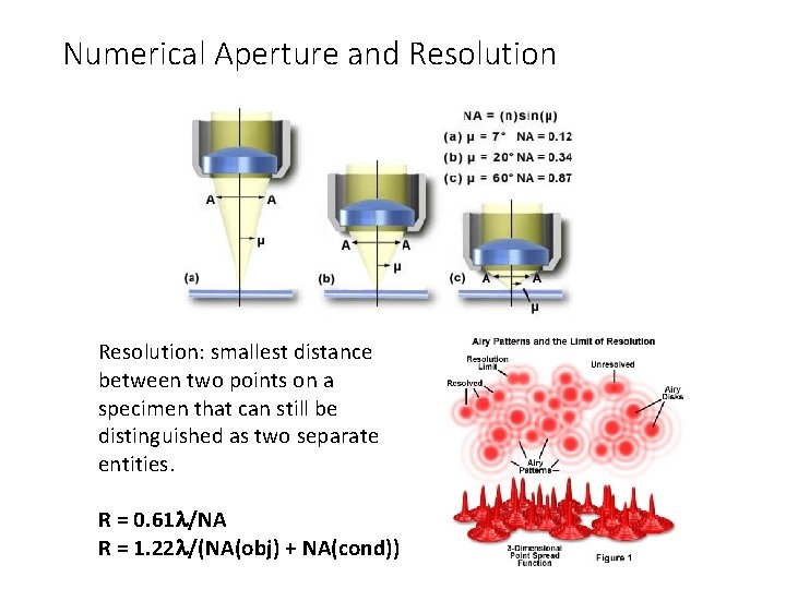 Numerical Aperture and Resolution: smallest distance between two points on a specimen that can