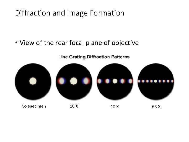 Diffraction and Image Formation • View of the rear focal plane of objective No