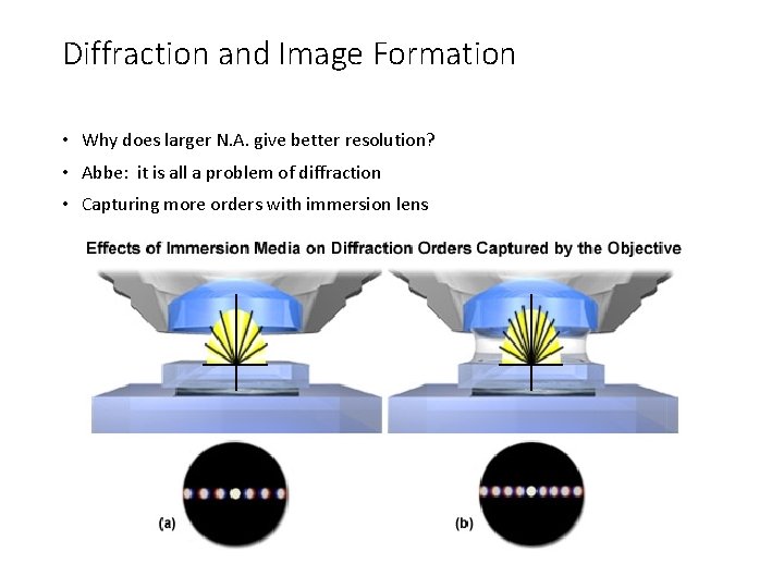 Diffraction and Image Formation • Why does larger N. A. give better resolution? •