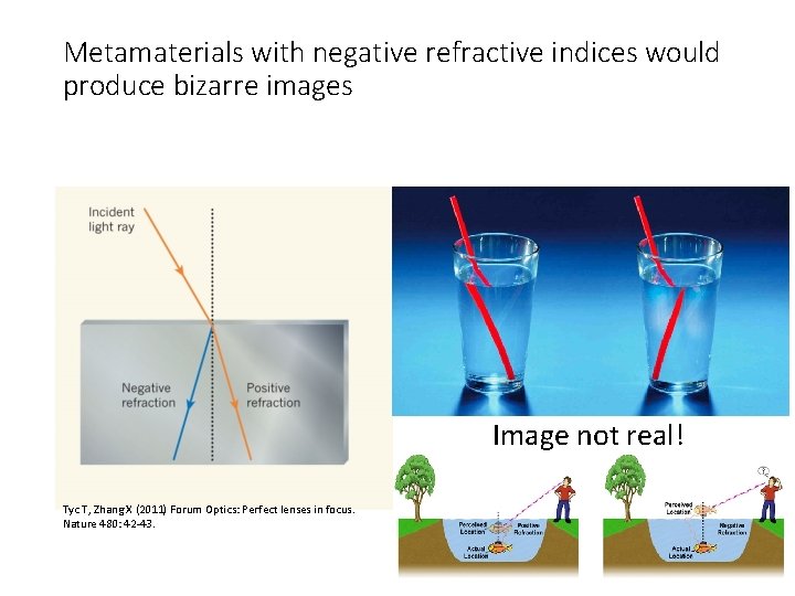 Metamaterials with negative refractive indices would produce bizarre images Image not real! Tyc T,