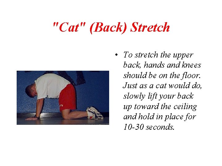 "Cat" (Back) Stretch • To stretch the upper back, hands and knees should be