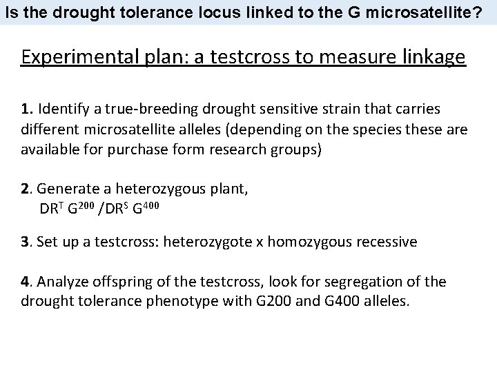 Is the drought tolerance locus linked to the G microsatellite? Experimental plan: a testcross