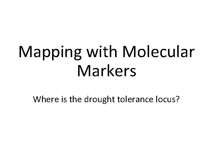 Mapping with Molecular Markers Where is the drought tolerance locus? 