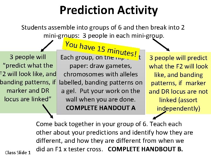 Prediction Activity Students assemble into groups of 6 and then break into 2 mini-groups: