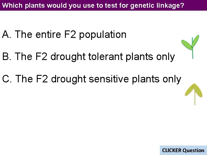 Which plants would you use to test for genetic linkage? A. The entire F