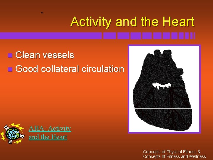 Activity and the Heart Clean vessels n Good collateral circulation n AHA: Activity and