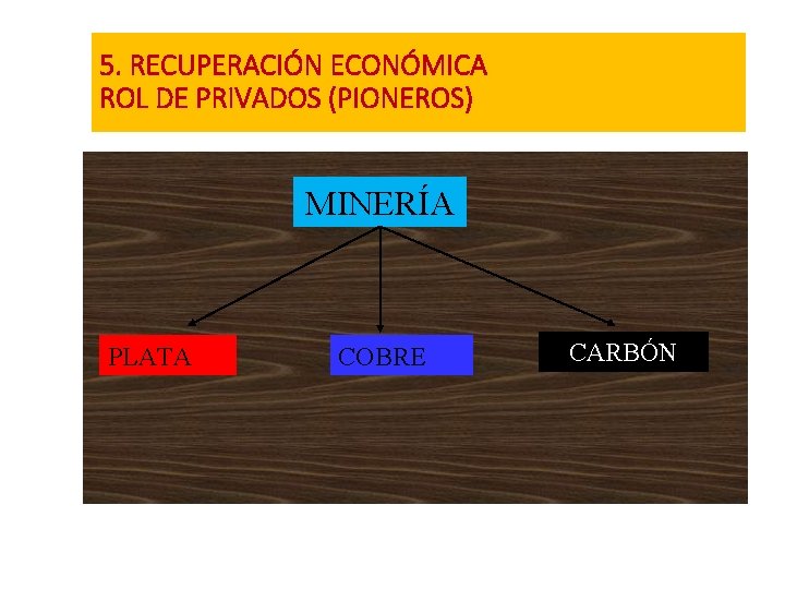 5. RECUPERACIÓN ECONÓMICA ROL DE PRIVADOS (PIONEROS) MINERÍA PLATA COBRE CARBÓN 