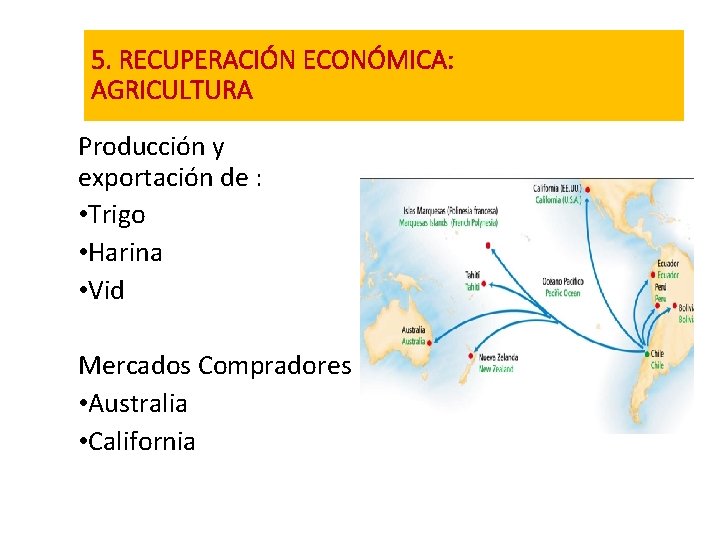 5. RECUPERACIÓN ECONÓMICA: AGRICULTURA Producción y exportación de : • Trigo • Harina •