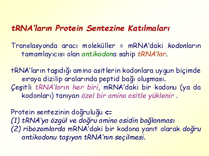 t. RNA’ların Protein Sentezine Katılmaları Translasyonda aracı moleküller = m. RNA’daki kodonların tamamlayıcısı olan