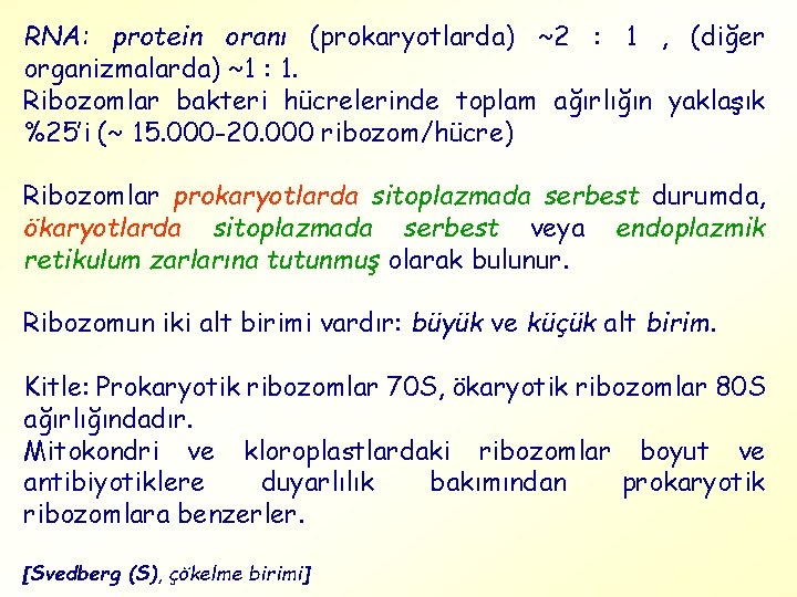 RNA: protein oranı (prokaryotlarda) ~2 : 1 , (diğer organizmalarda) ~1 : 1. Ribozomlar