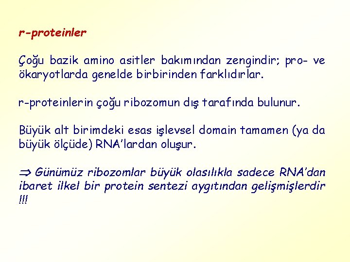 r-proteinler Çoğu bazik amino asitler bakımından zengindir; pro- ve ökaryotlarda genelde birbirinden farklıdırlar. r-proteinlerin