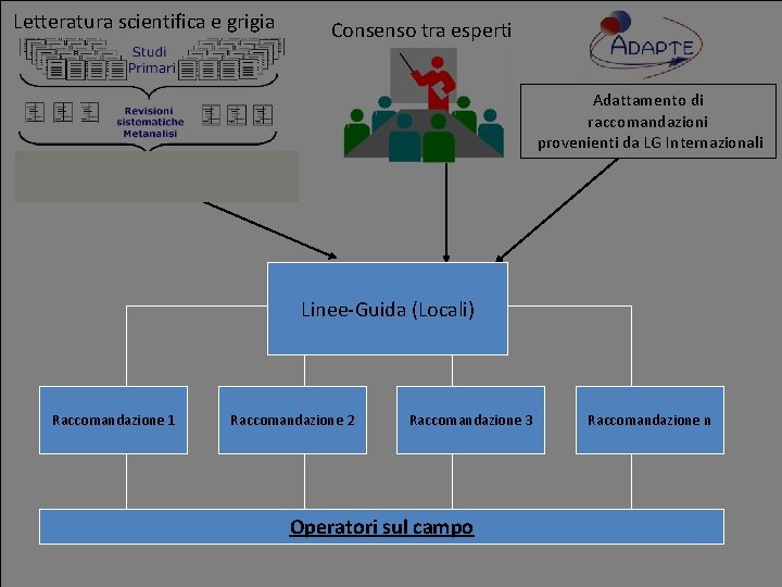 Letteratura scientifica e grigia Consenso tra esperti Adattamento di raccomandazioni provenienti da LG Internazionali