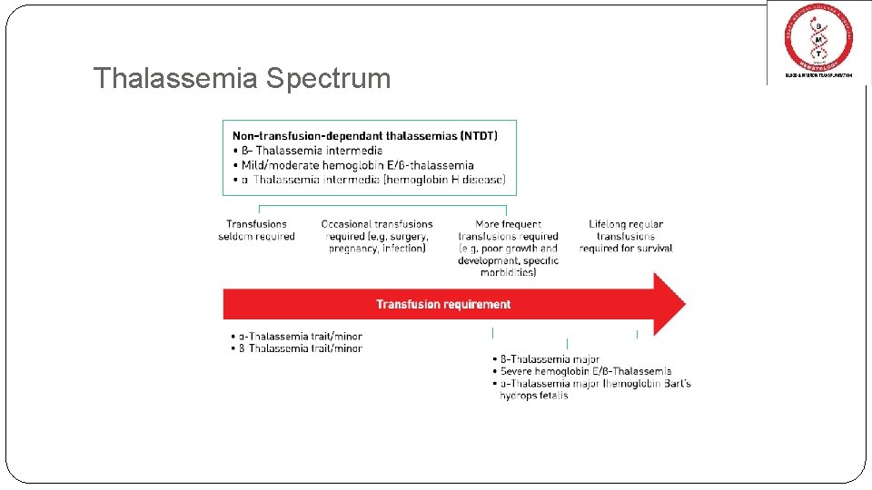 Thalassemia Spectrum 