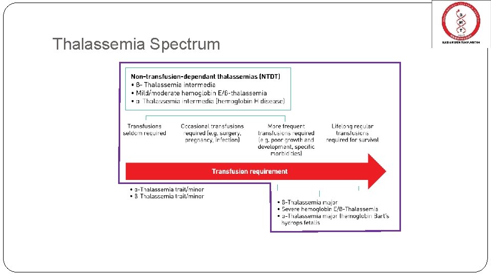 Thalassemia Spectrum 