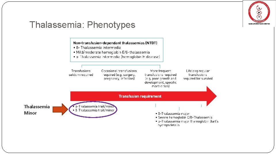 Thalassemia: Phenotypes Thalassemia Minor 