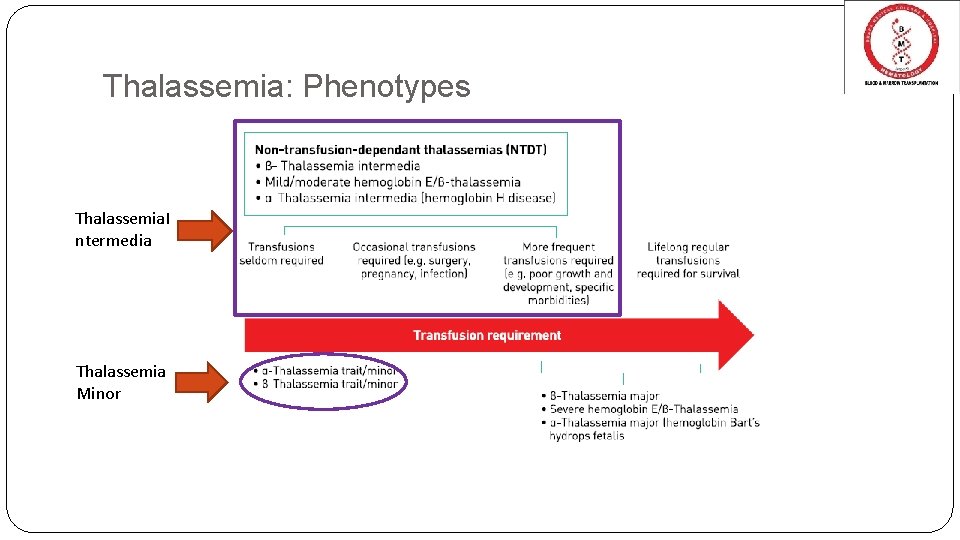 Thalassemia: Phenotypes Thalassemia. I ntermedia Thalassemia Minor 