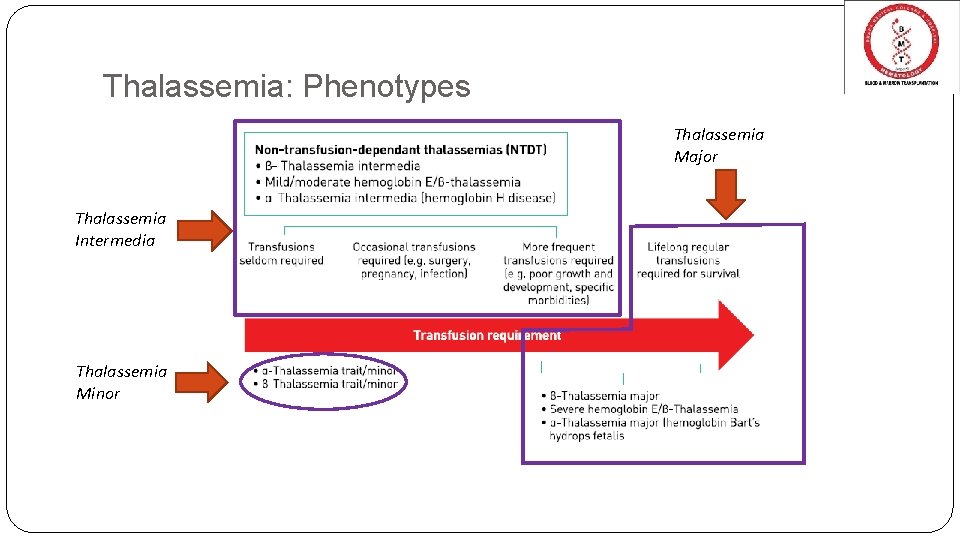 Thalassemia: Phenotypes Thalassemia Major Thalassemia Intermedia Thalassemia Minor 