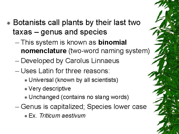  Botanists call plants by their last two taxas – genus and species –