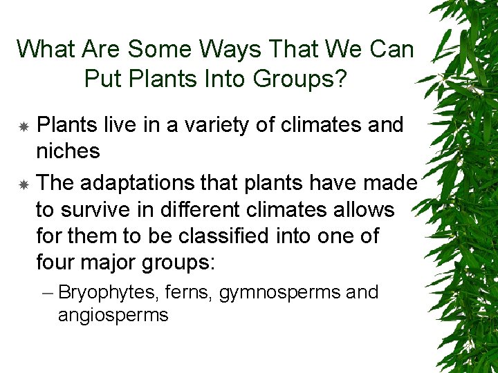 What Are Some Ways That We Can Put Plants Into Groups? Plants live in