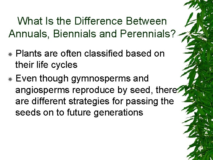 What Is the Difference Between Annuals, Biennials and Perennials? Plants are often classified based