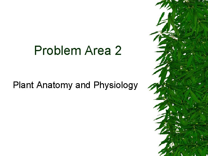 Problem Area 2 Plant Anatomy and Physiology 