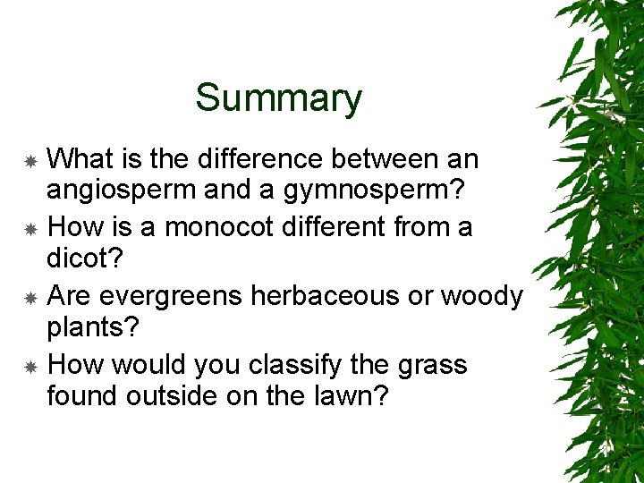 Summary What is the difference between an angiosperm and a gymnosperm? How is a