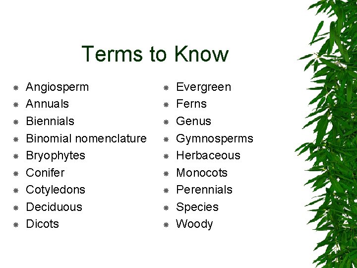 Terms to Know Angiosperm Annuals Biennials Binomial nomenclature Bryophytes Conifer Cotyledons Deciduous Dicots Evergreen