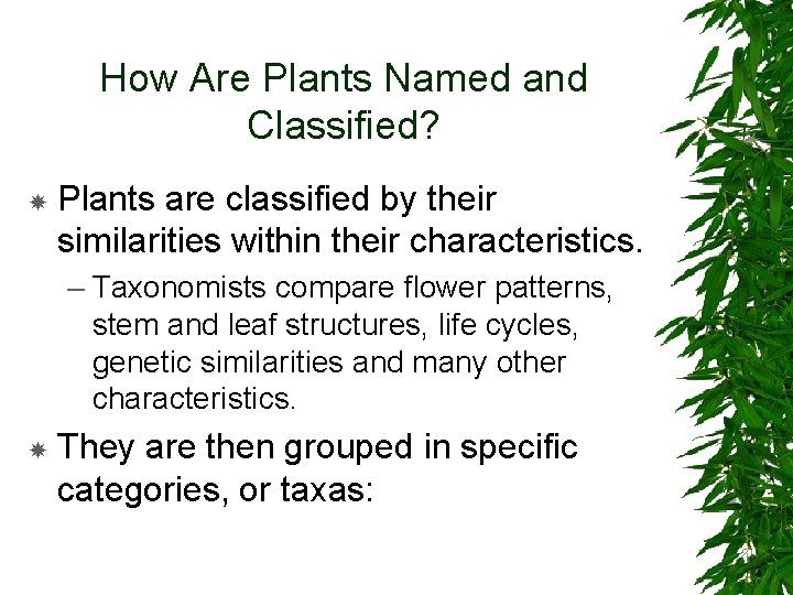 How Are Plants Named and Classified? Plants are classified by their similarities within their