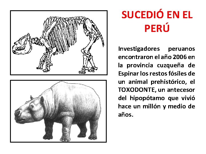 SUCEDIÓ EN EL PERÚ Investigadores peruanos encontraron el año 2006 en la provincia cuzqueña