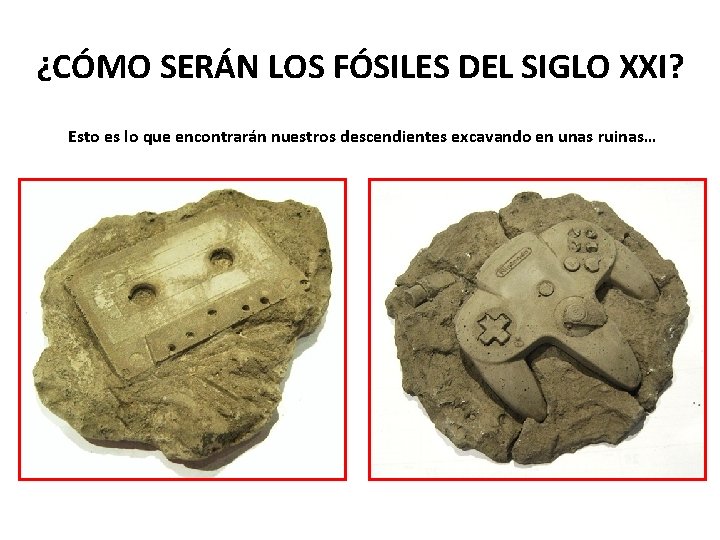 ¿CÓMO SERÁN LOS FÓSILES DEL SIGLO XXI? Esto es lo que encontrarán nuestros descendientes