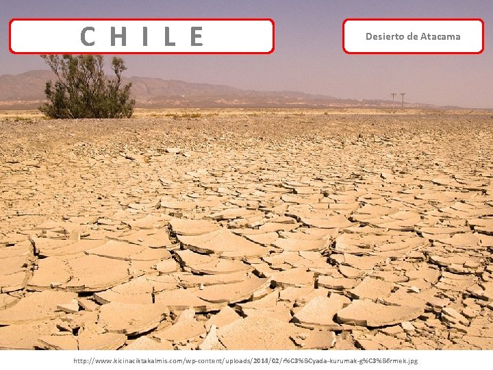E HI LI EL C H Desierto de Atacama http: //www. kicinaciktakalmis. com/wp-content/uploads/2014/02/r%C 3%BCyada-kurumak-g%C